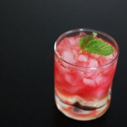 Cranberry Ginger Fizz Cocktail