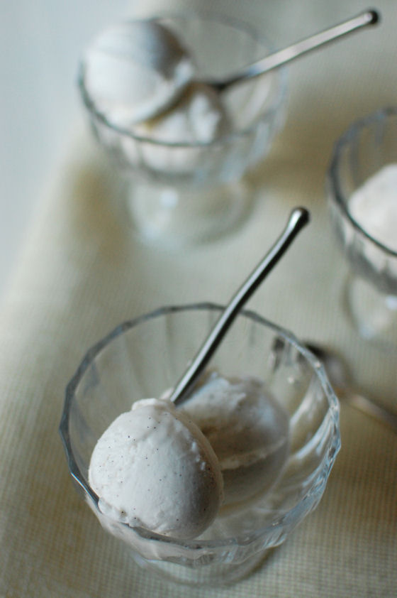 Dairy Free Vanilla Bean Ice Cream