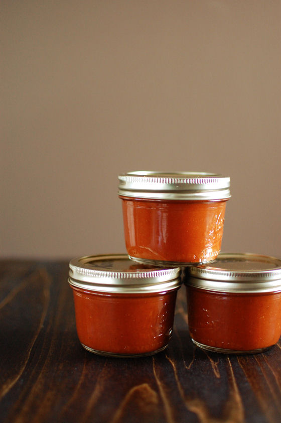 Homemade Curry Spiced Ketchup