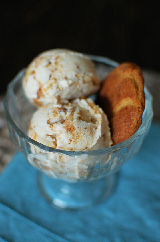 Snickerdoodle Ice Cream