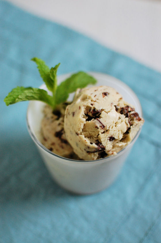 Mint Chip Ice Cream