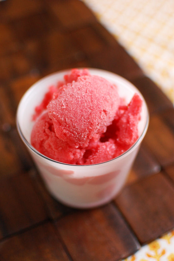 Strawberry Rhubarb Sorbet