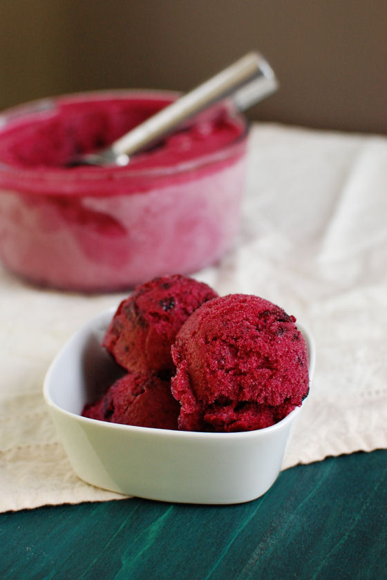 Blueberry Beer Sorbet