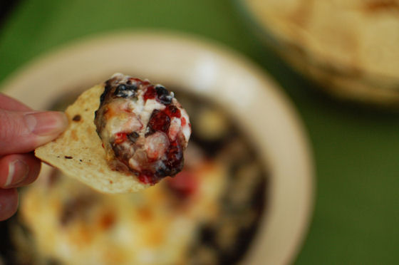 Raspberry Chipotle Black Bean Dip