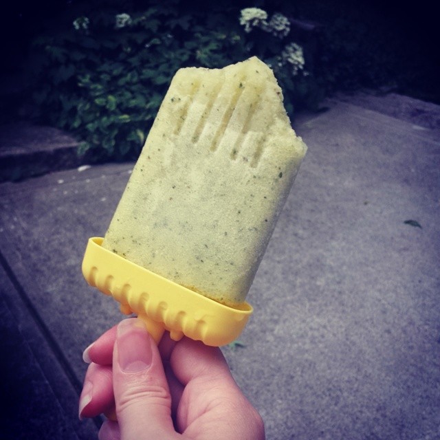 My first popsicles